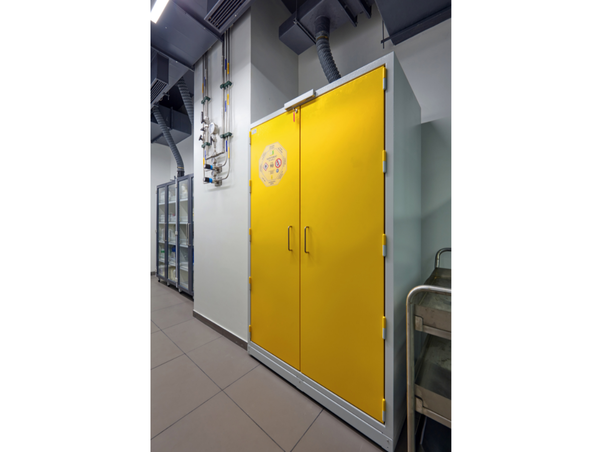 Specialty Chemicals Company, Juingar, Navi Mumbai, Maharashtra - Storage cabinets - Turnkey Lab Design and Construction by SbyD